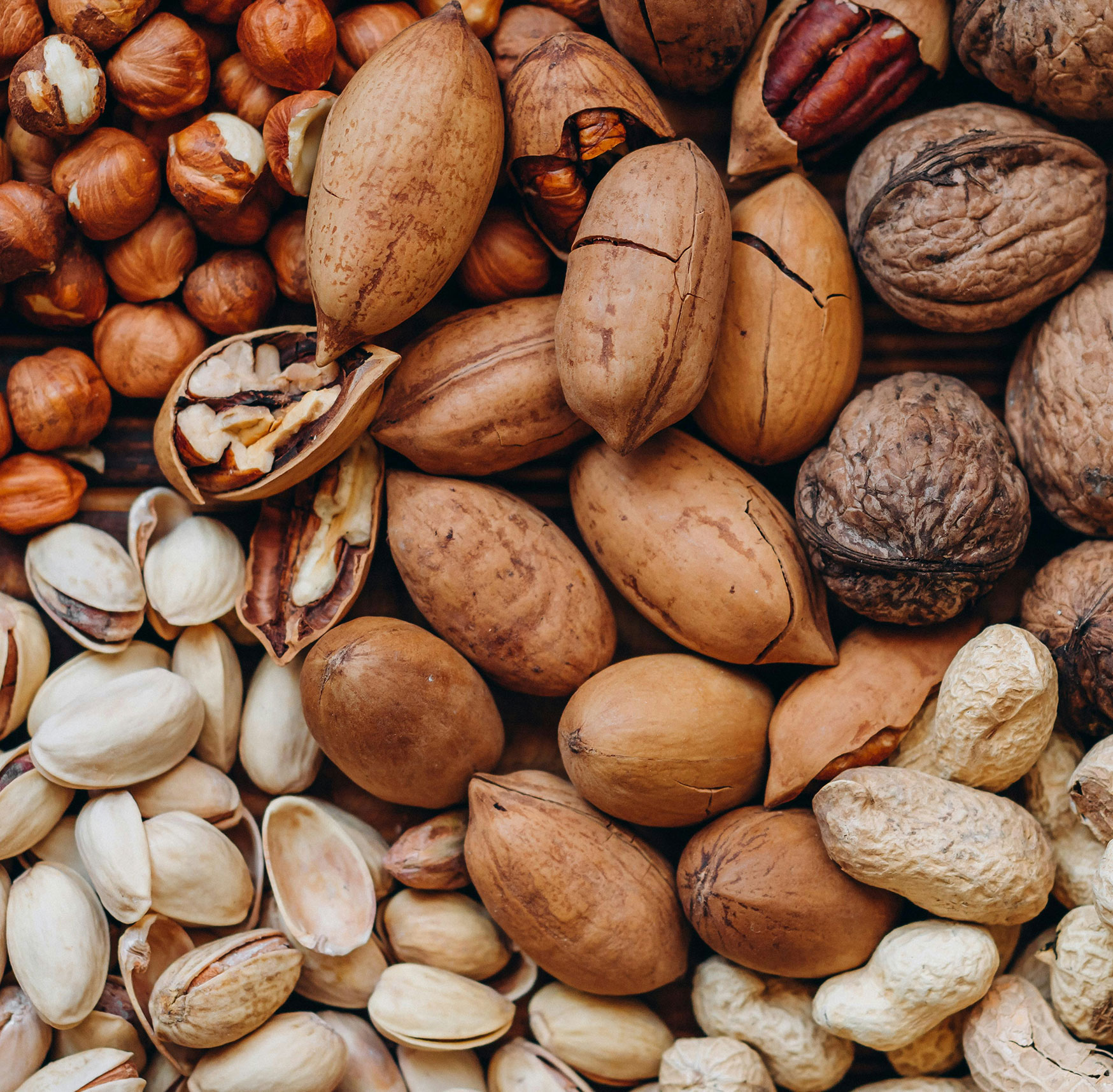 Nuts Gift Boxes